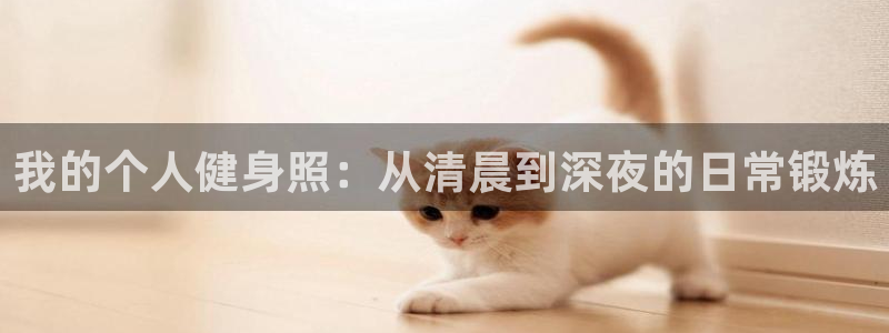 龙8国际app客户端下载不了