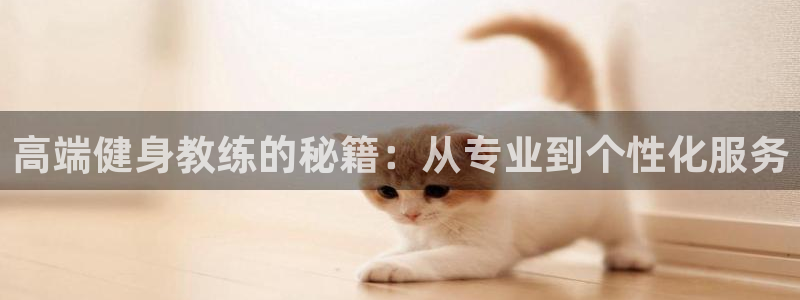 龙8国际登录网址推荐ag87253