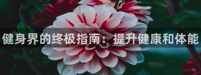 龙8国际手机版官网