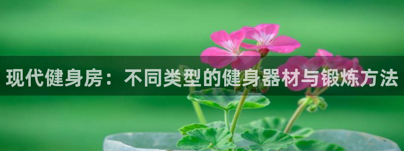 龙8国际老虎机官方