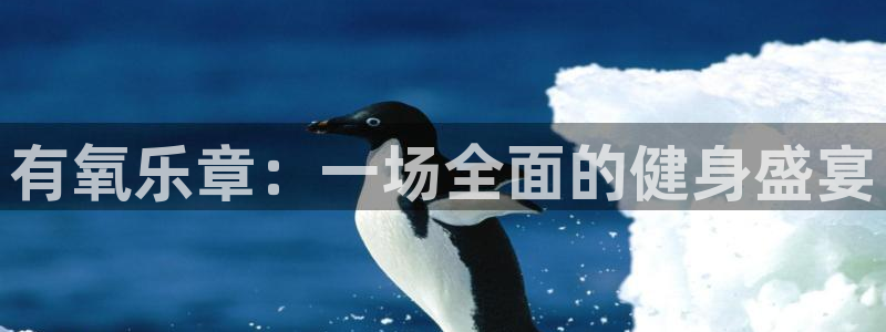 龙8国际怎么下载