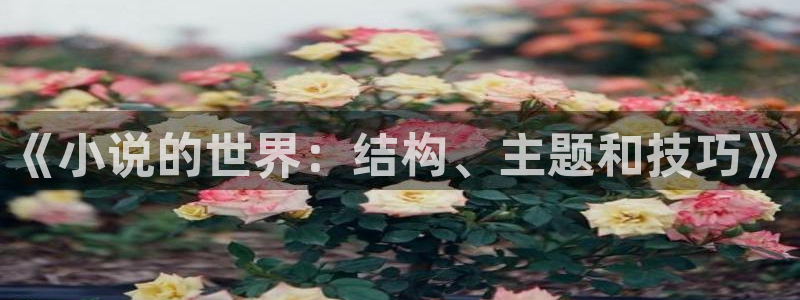 江山文学网站登录官网：《小说的世界：结构、主题和技巧》