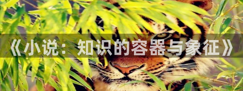 江山文学网首页入口：《小说：知识的容器与象征》